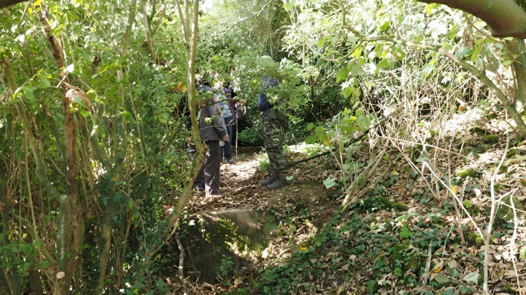 Image of a group of people standing on a partly buried concrete structure surrounded by trees and scrub